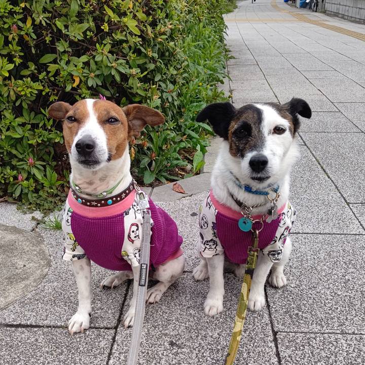 Cc1cc019 3461 4c40 bab0 b0c9d82d3824 1680475923762