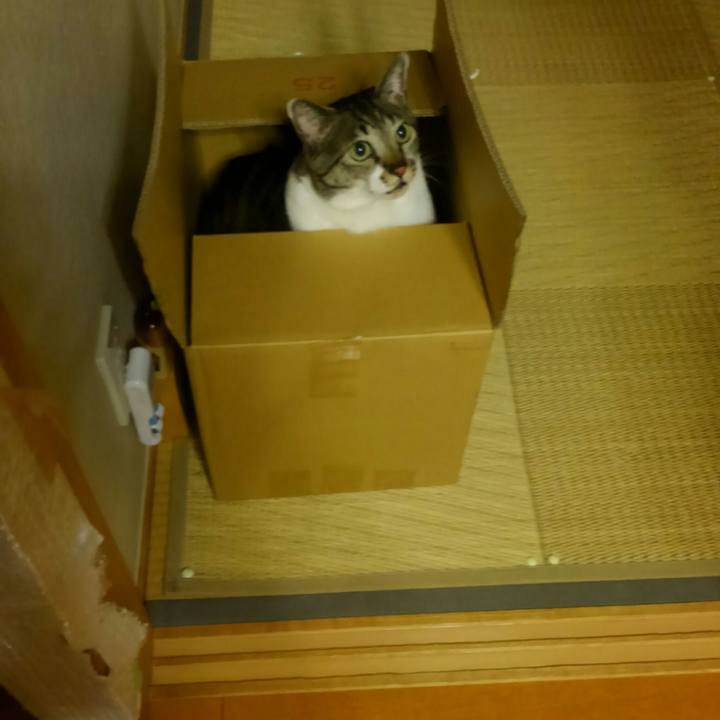 Cc1cc09f 0ddf 4d1d 8c3e b5f464be391a 1516795786784