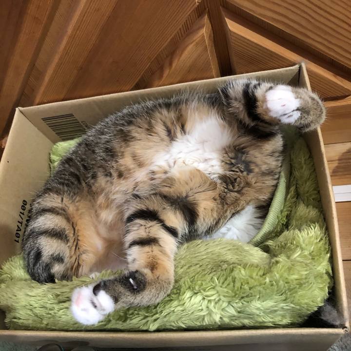 Cc1cf51a 950e 4f75 ada8 495fcabae39e 1588578657319