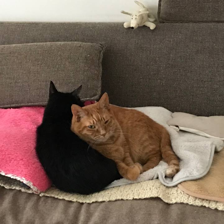 Cc1d5df7 2a17 4c2f 90ab ef1769423ffe 1576313526797