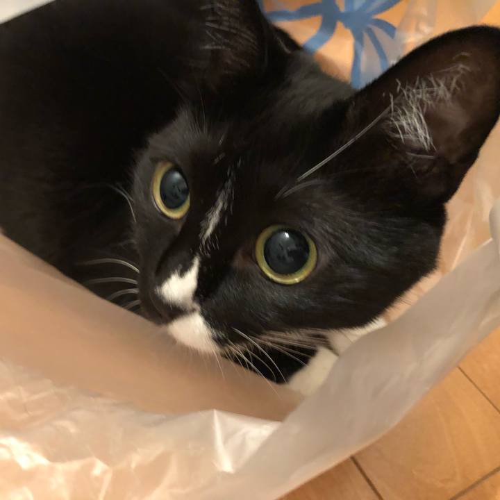 Cc1d6e40 80b0 4ecc b10f 9990363fe84f 1566859909369