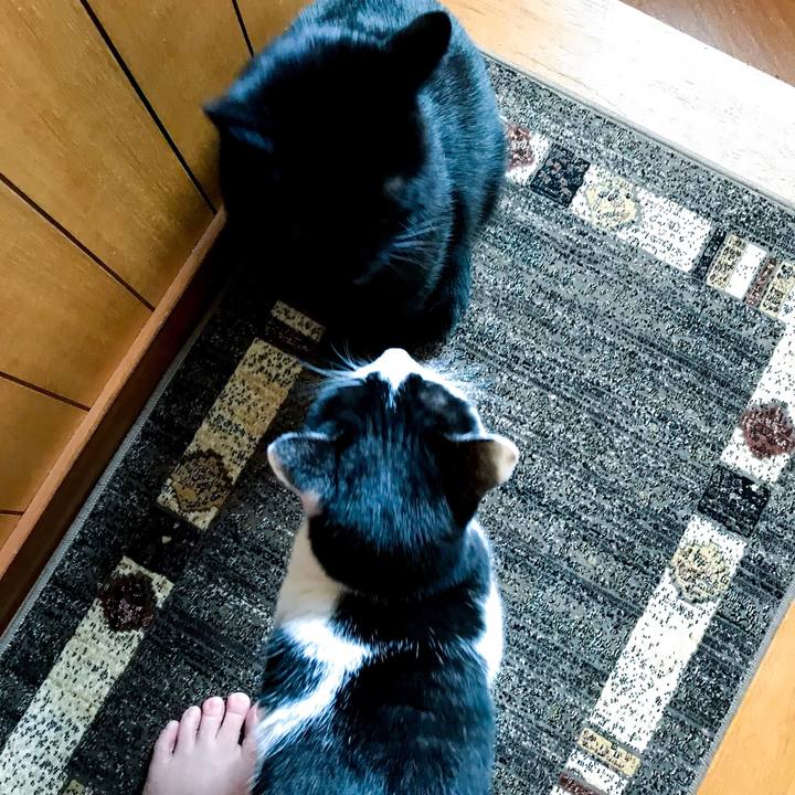 Cc1d92b4 c427 46f0 bfc8 9250da424a35 1511142042145