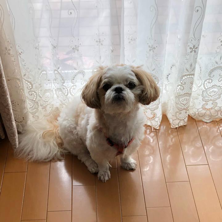 Cc1e1f0c b0f8 4b00 adfd 54ec03fffd38 1538180574560