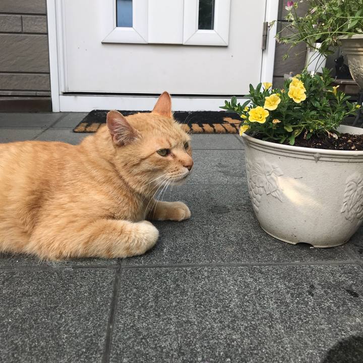 Cc1e4d32 5b96 4572 9df5 3c30be55088c 1525093252773