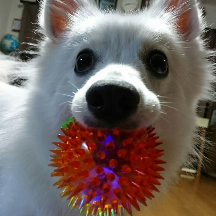 Cc1e5b7d b136 4943 a1f6 d8035c23a720 1508670544756