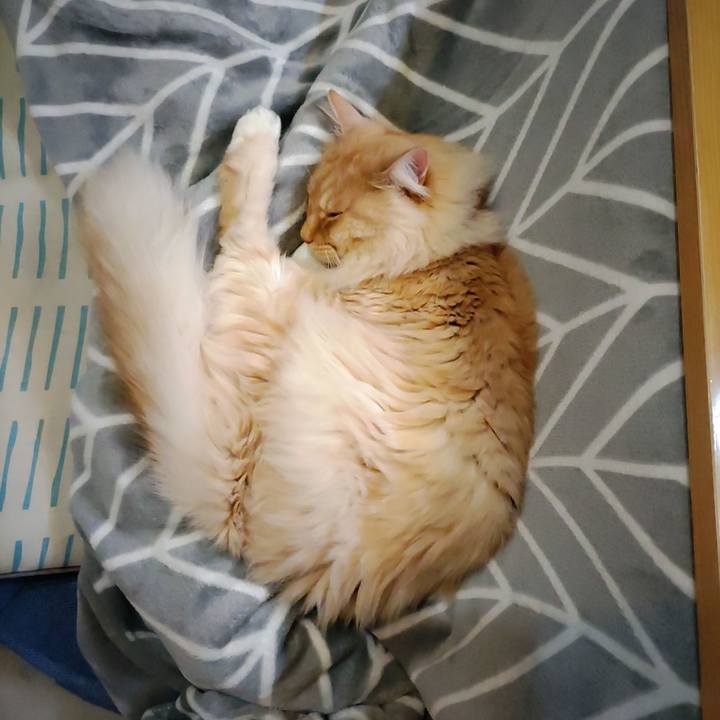 Cc1e94f4 3a88 4a41 9346 33896c3b3471 1707918804507