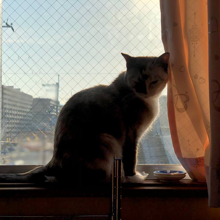 Cc1eabcf 6e8d 4e96 bc61 7bd8b044438a 1774461064319