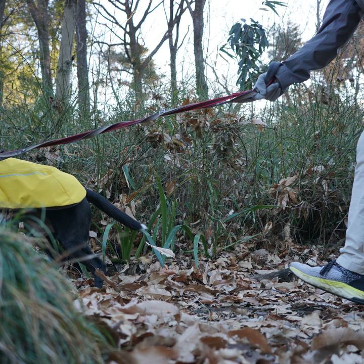 Cc1ec0bd daf9 416b a1fc 44bb54ca4f3f 1767660842744