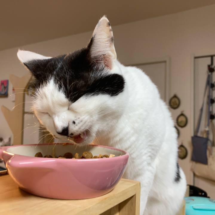 Cc1ec262 d25b 425e a708 e1438b615b25 1765746980125