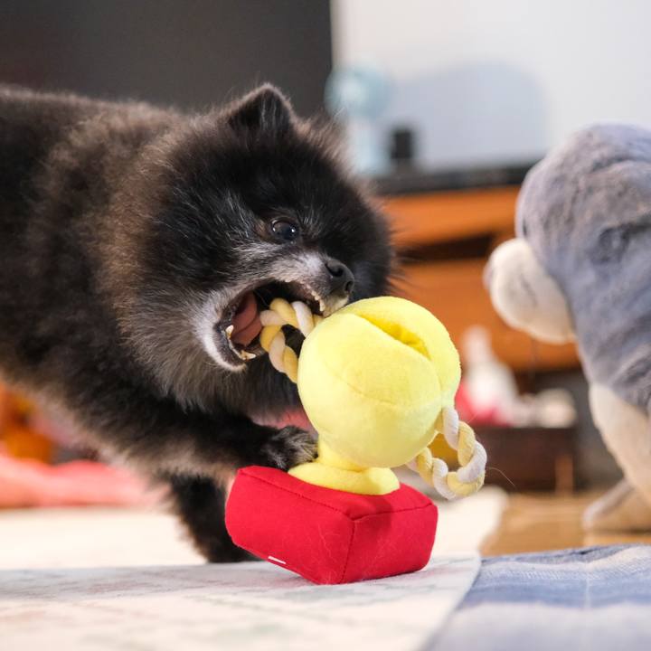 Cc1f08d4 d389 40f1 b8c0 d8ca0ced52d3 1594742699137