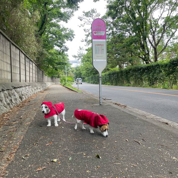 Cc1f1814 388a 4d5a 929c 15228596bce6 1717973886671