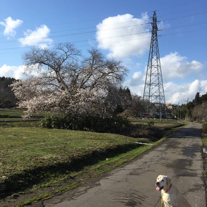 Cc1f2211 4d30 4b3f a069 162b45b95c1a 1523173261681