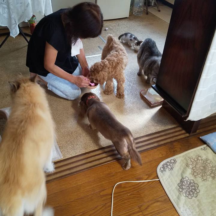 Cc1f252c 75e6 47f4 844e 3b32ea2fa931 1567901148165