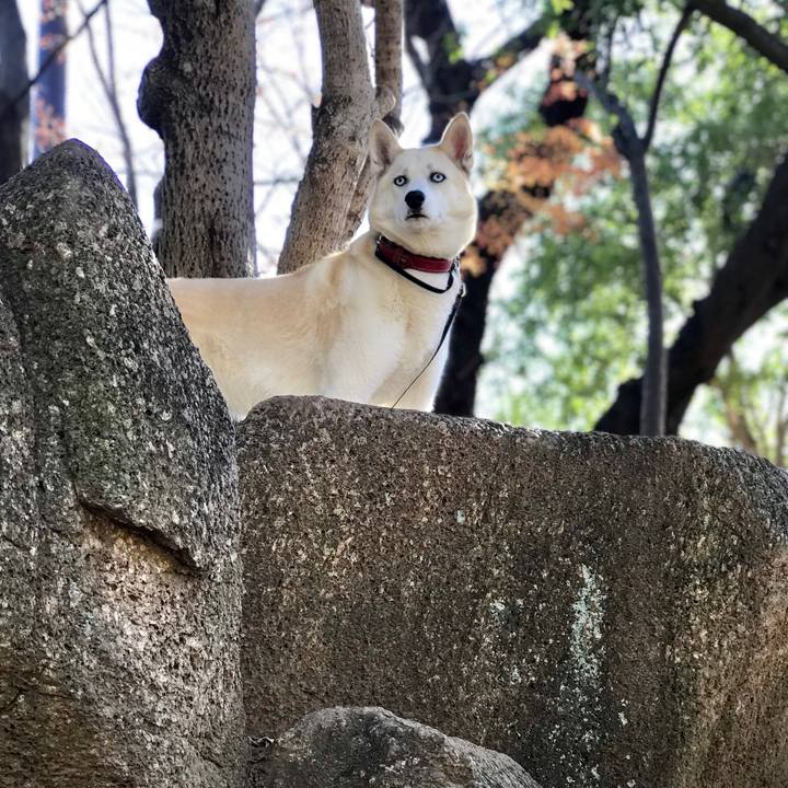 Cc1f3274 040b 481d 94be ca292733525a 1545964448145