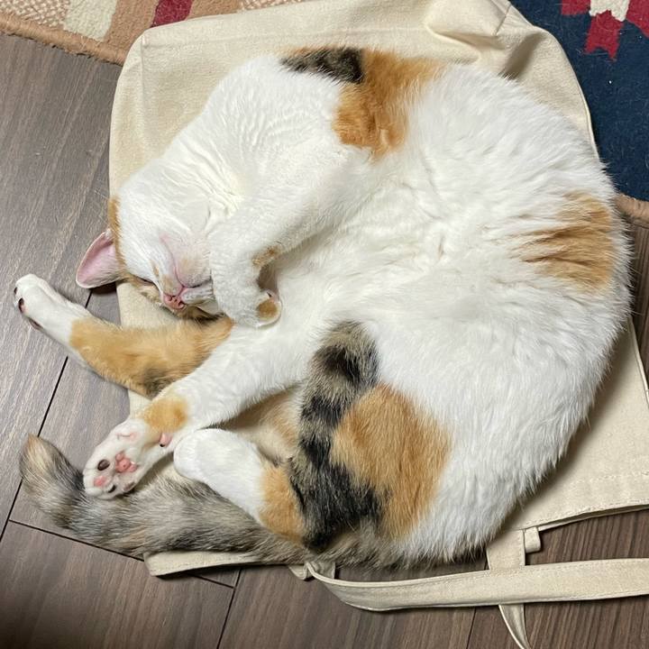 Cc1f3a17 5203 4487 bc85 4bf127df6728 1657724681649