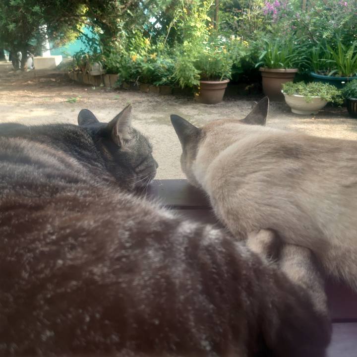 Cc1f4286 1bbb 406c b851 2190a64176a4 1624176868728