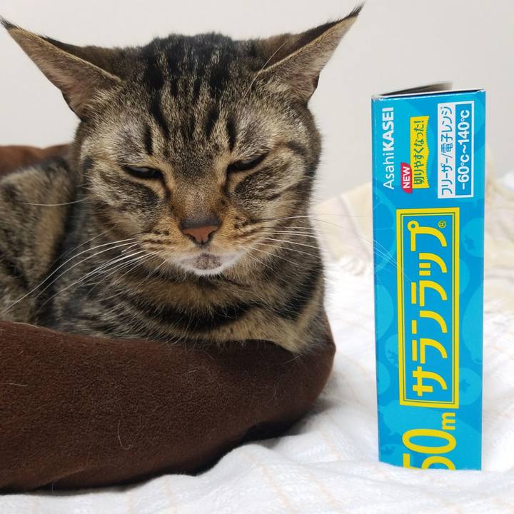 Cc1f6788 1782 452b ae7c 46c31ca7cce9 1585603788594