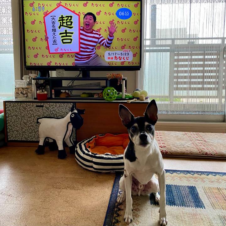 Cc1f75ef 1853 40f2 ab52 85e1ebb5bbdb 1621202675288