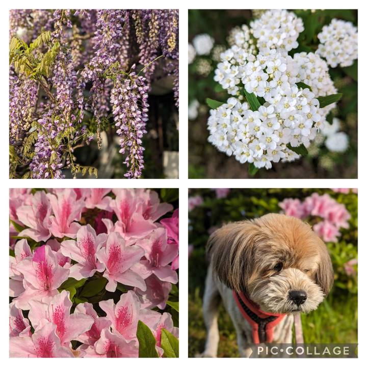 Cc1f9644 62a6 4423 a340 67c202d3e887 1713308505890