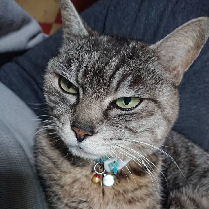 Cc1faa85 bd59 4c68 b137 2722c2b2787b 1556705877245