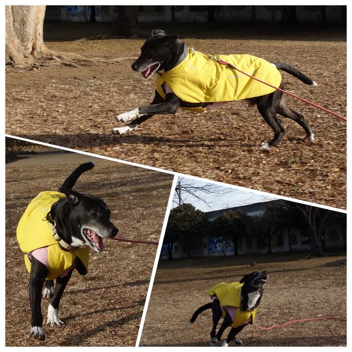 Cc1fac7f 6286 4e08 b28a 40efb5d3dd99 1739322279418