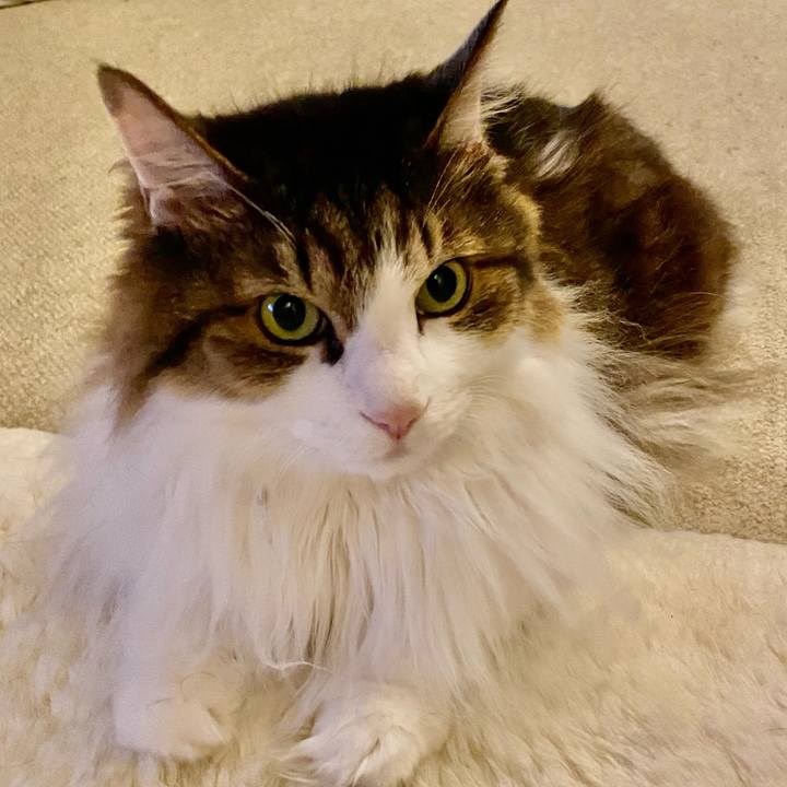 Cc20094e a115 4bd3 ad29 f5b8aea37100 1694856854079