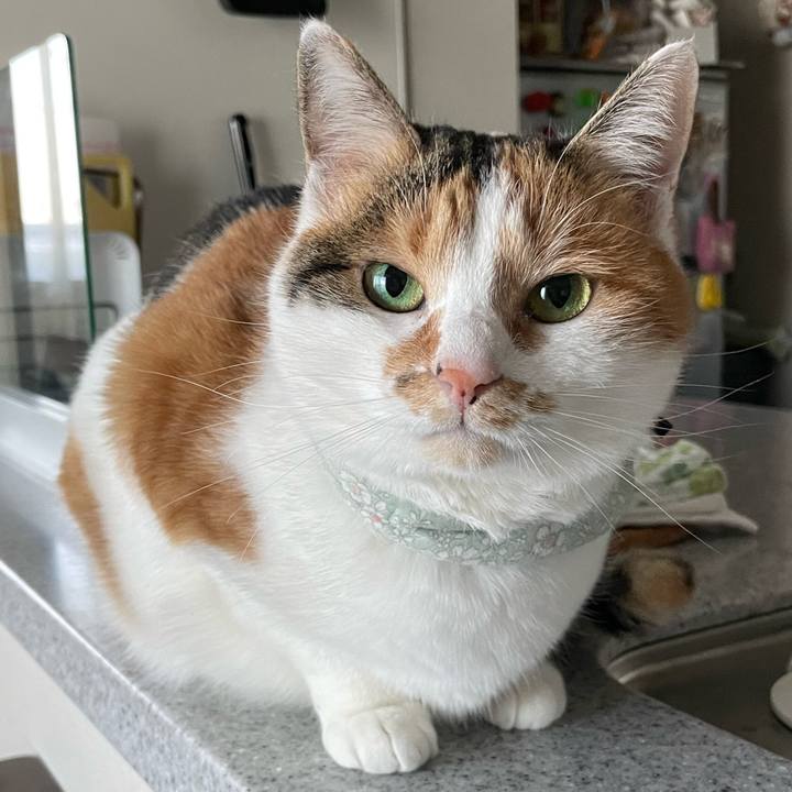 Cc202d99 640f 4fb5 a2e0 7bccfa168f04 1673307130552