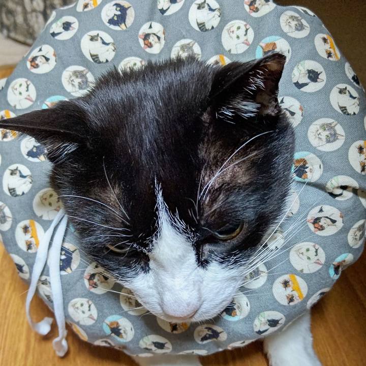 Cc205662 7f21 4045 b634 c9d1fb664e3e 1643547884838