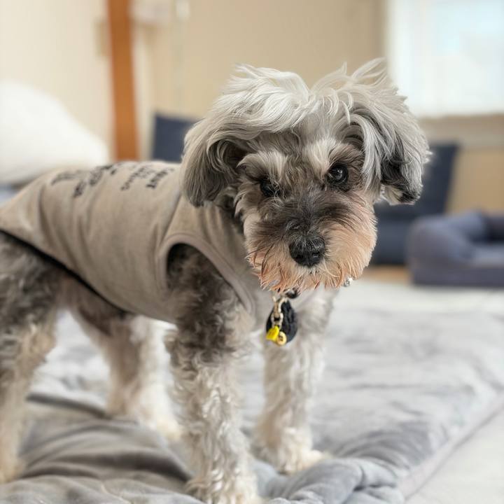 Cc20685b b7b5 444a ab0a de3a507506a4 1773981593417