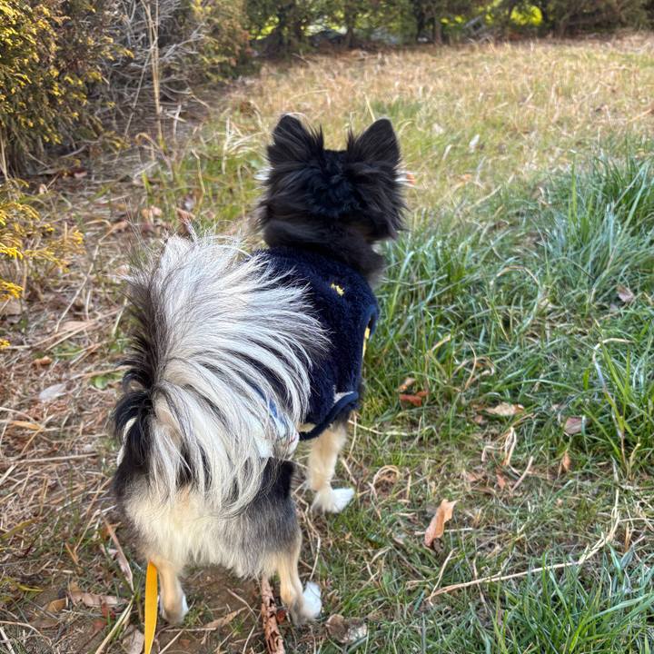 Cc209641 c4c9 4a57 b6cf 589b173b8a0c 1739637017623