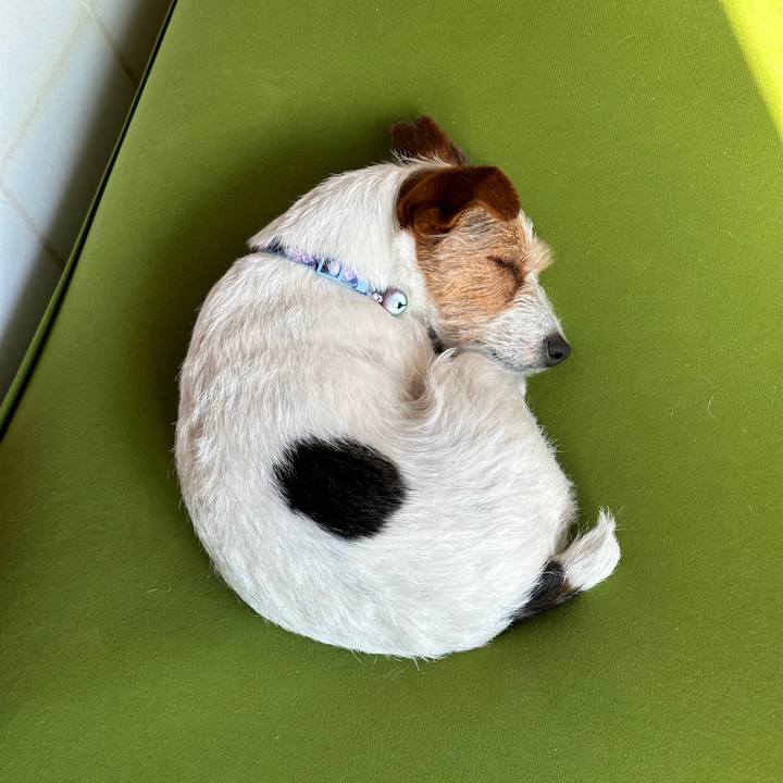 Cc209c16 93b2 4753 9c0c 9eb339c1379e 1771159426252