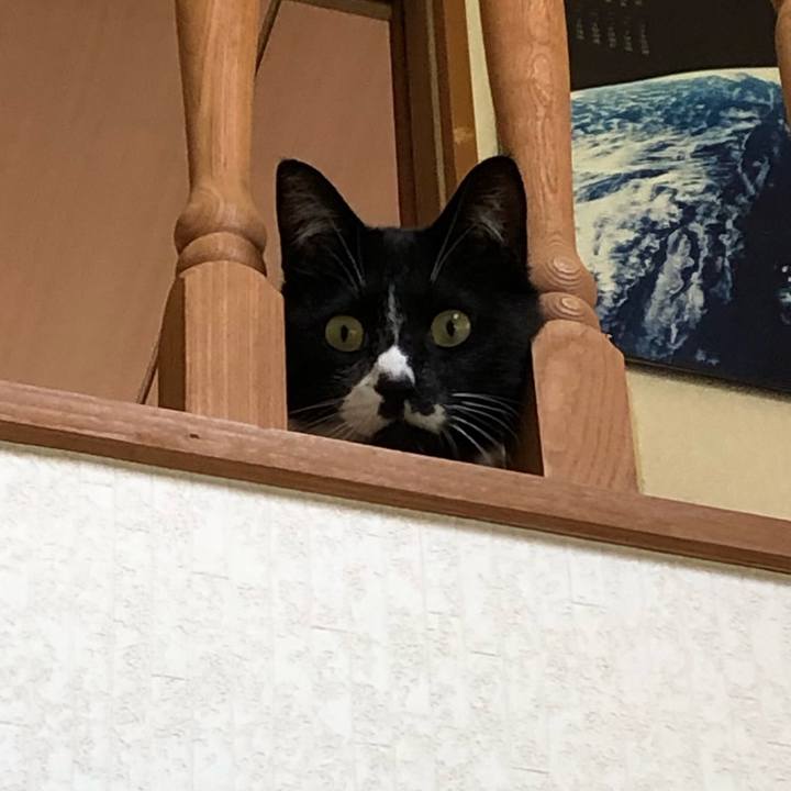 Cc20e192 2801 4ac3 bf17 337de0c347f6 1594092009375