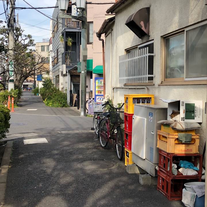 Cc211e67 18a8 4396 98d6 4b6be1fdc451 1553088782958