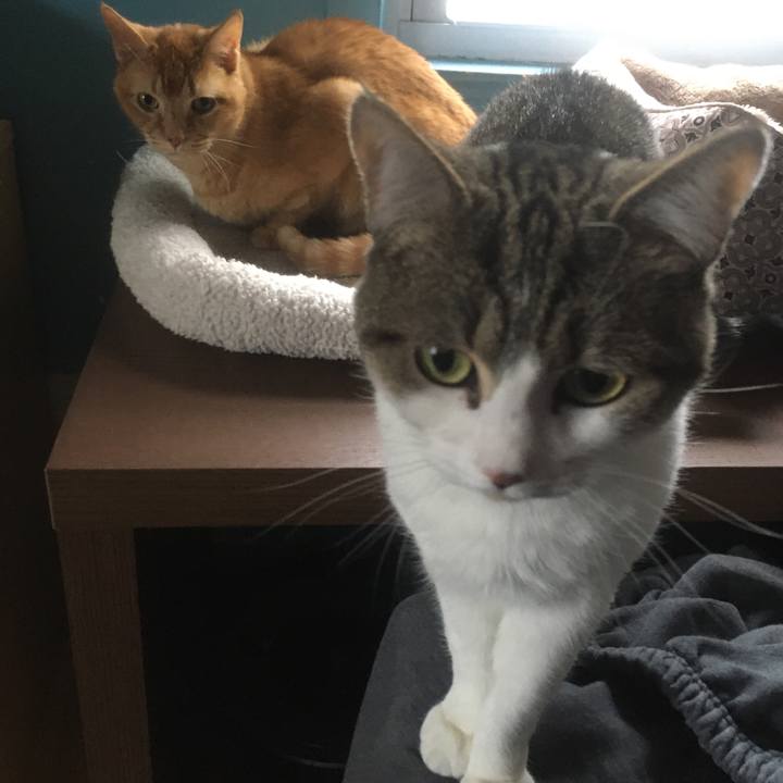 Cc2127ae a5e0 4ee5 9559 2e59d8b35f29 1633047781747