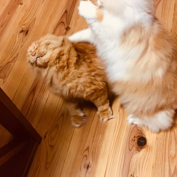 Cc214c02 3dd6 4633 8a84 c6fc76d3cce1 1580857831432