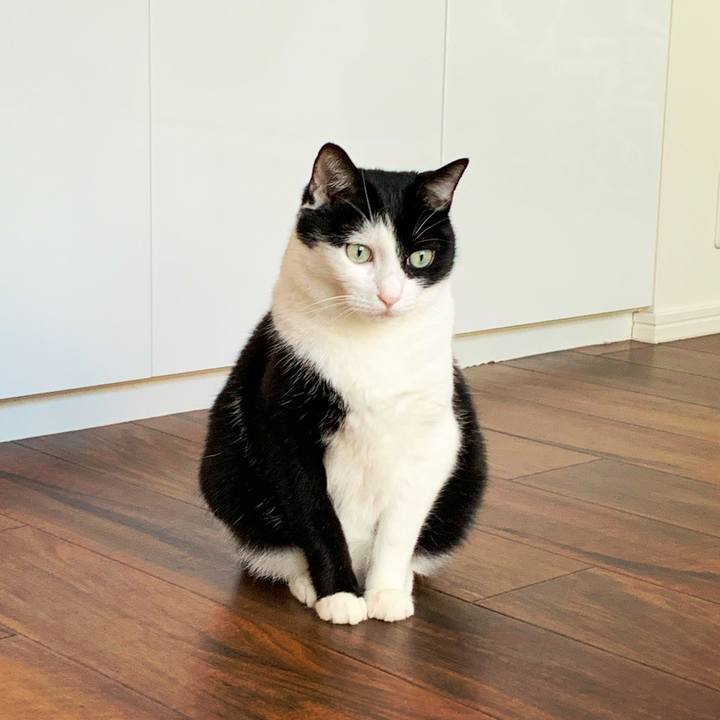 Cc21b72f 5fc4 472b a1a0 f960a7535acb 1565399508217