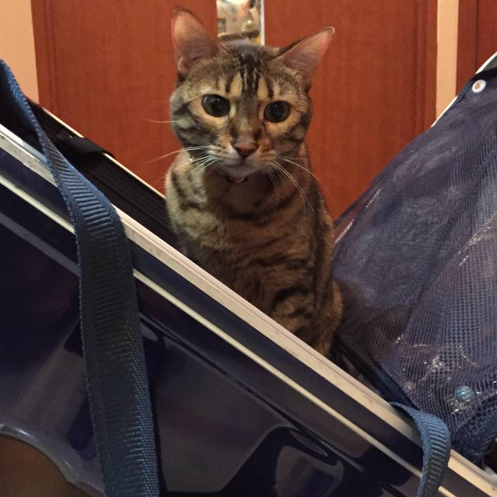 Cc21e45c c7ae 46b5 9f7a 9d5b1ab66581 1534120419891