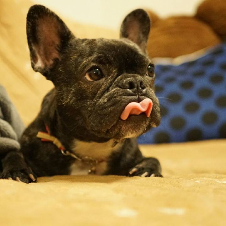 Cc220bc4 1f7b 42a5 a378 3d5928747cac 1513157377248