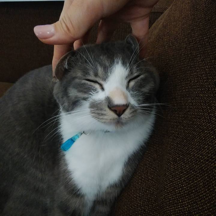 Cc220e90 15a6 49a5 b840 5bc1ada2524c 1594365950612