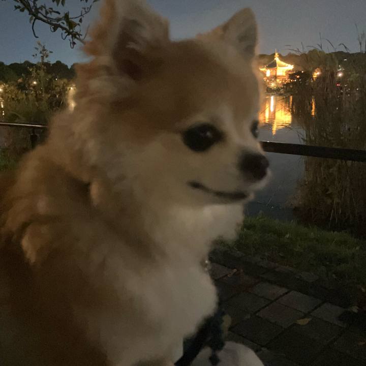 Cc220ff7 300c 4884 a9e1 5f9f7449bae8 1762093887900