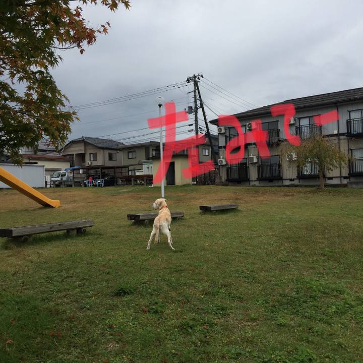 Cc221429 ef29 4972 9b13 31bb2f66aa96 1541578477303