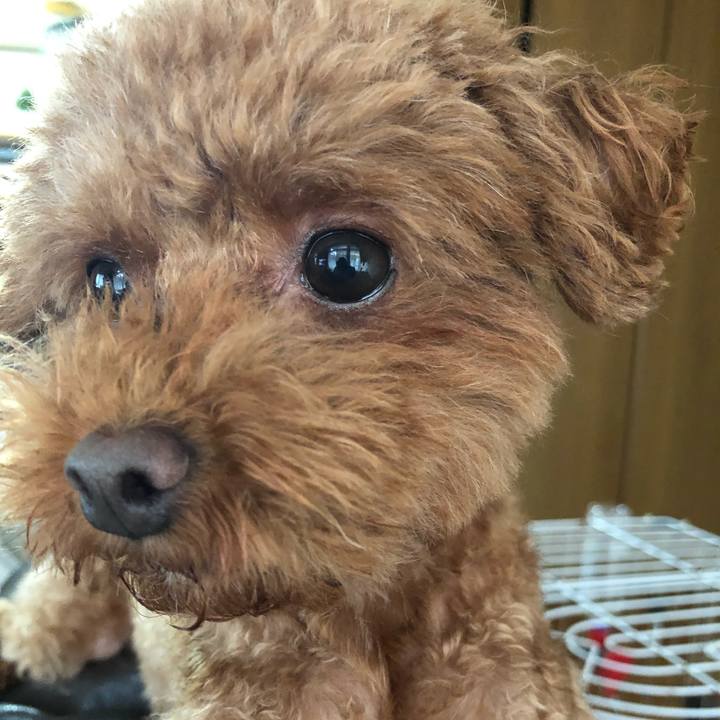 Cc22e134 6c86 4af1 8718 b6022c4bb8a2 1568155223977