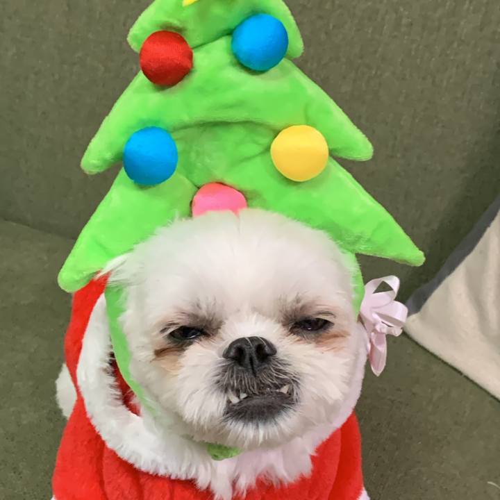 Cc2325c8 9533 4a0a 9eea ac8a083c0943 1703427479404