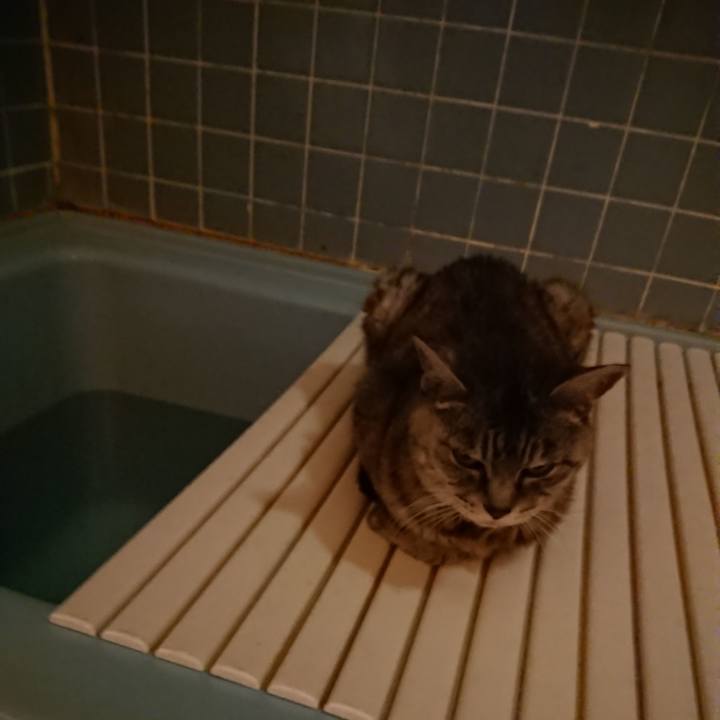 Cc233511 7f07 441a 9137 2bfd8021a335 1569836121336