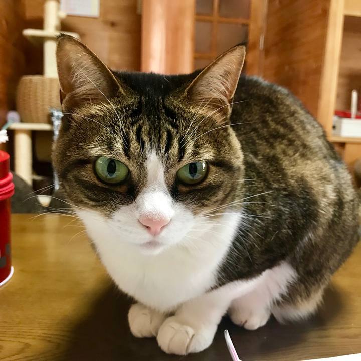 Cc234259 05ca 4766 80f4 bcda7997ea75 1556679476022