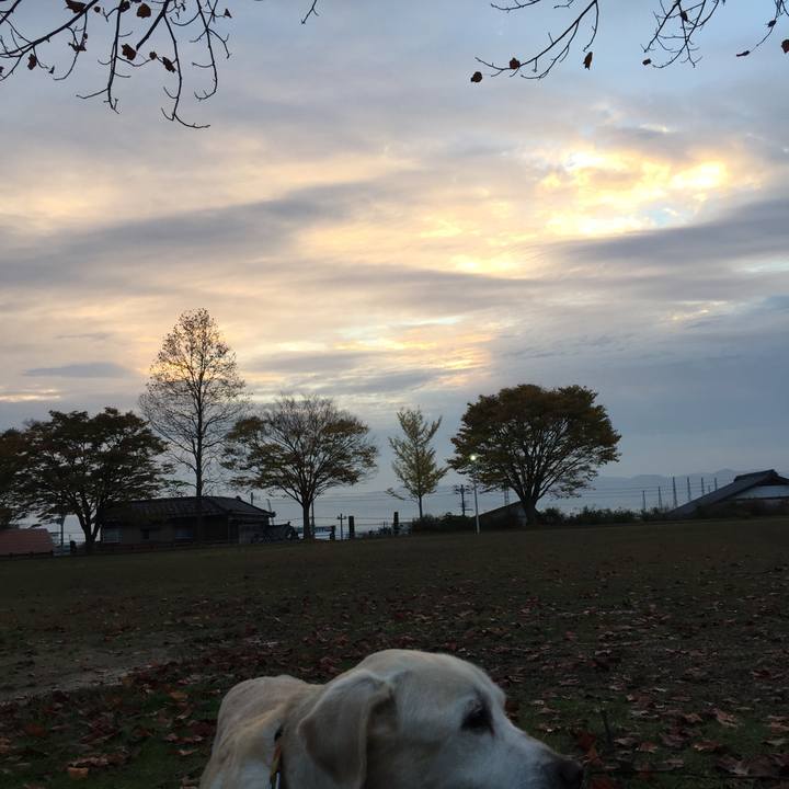 Cc235b6a d8e1 4e4c 9124 7e51831e19a5 1542021047716