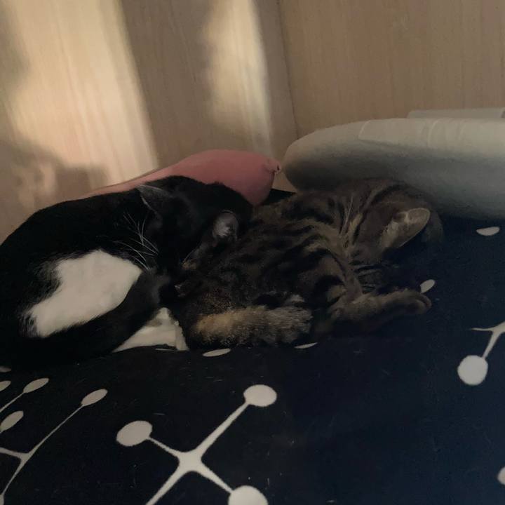 Cc235b90 91c4 4993 add8 2f908b37b452 1671875909812