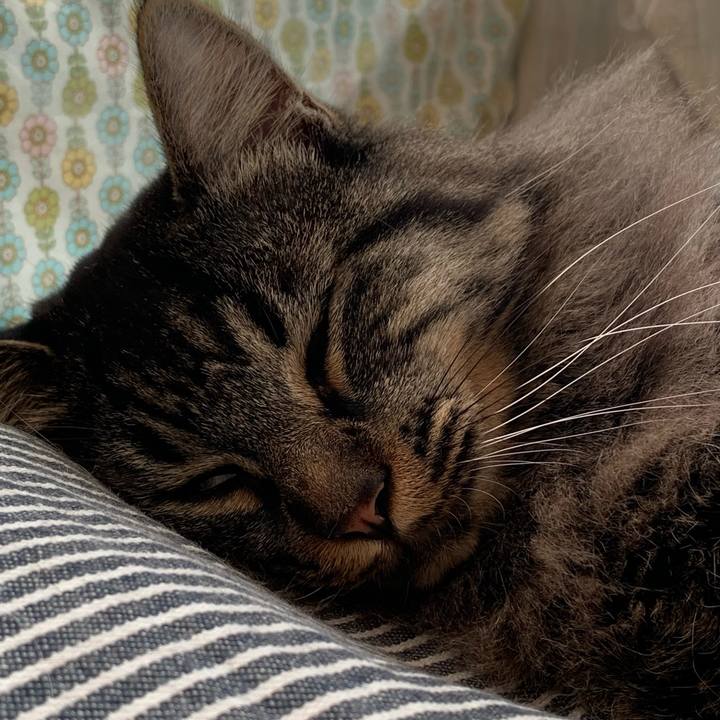 Cc23718a a3aa 4e1c a672 8ad77539d8d8 1670114368591