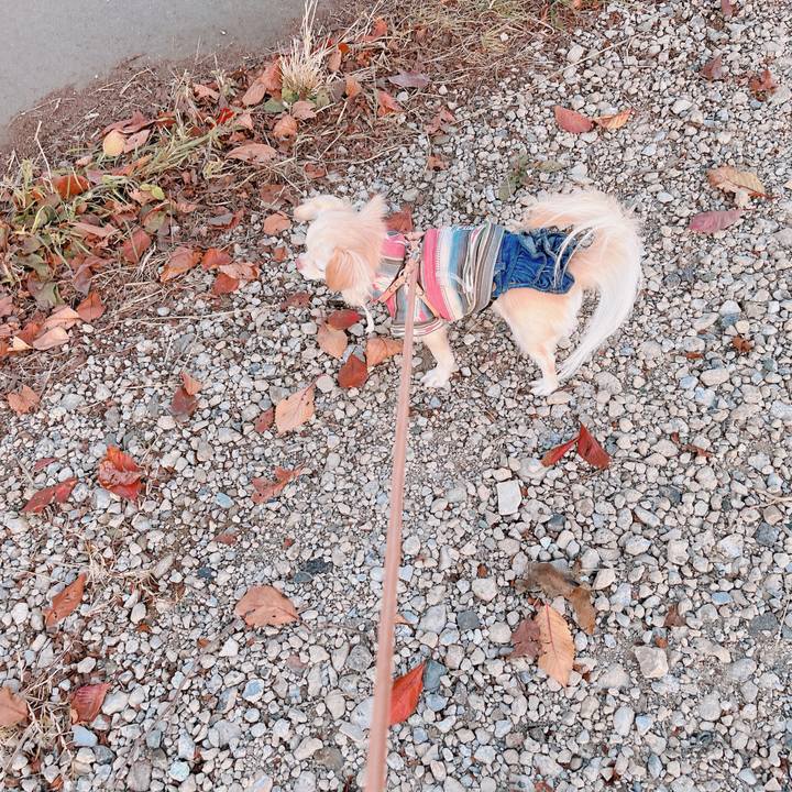 Cc237564 c49e 4372 894b 070a5b69e51a 1670835009065