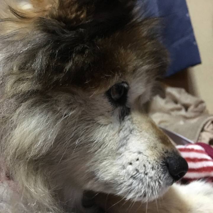 Cc239e29 b109 4216 9548 c80b5db47f03 1618406739852